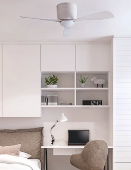 Bora ventilatore da soffitto con luce