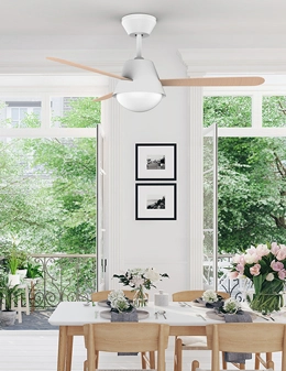 Buran ventilatore da soffitto con luce