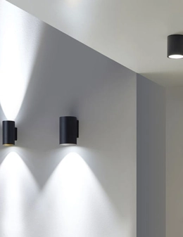 Cosmos applique biemissione da esterno