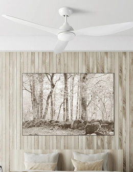 Nepal ventilatore da soffitto con luce