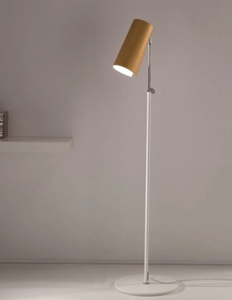 Thevetia lampada da terra