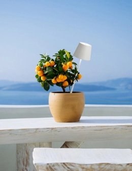 Poldina lampada da terra con picchetto