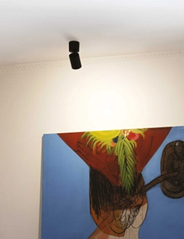 Toby plafoniera luce orientabile