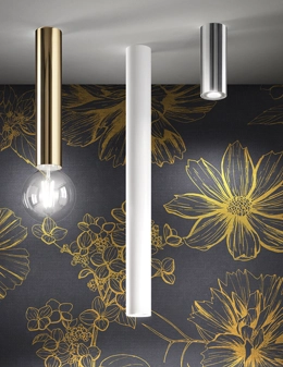 Birba plafoniera moderna