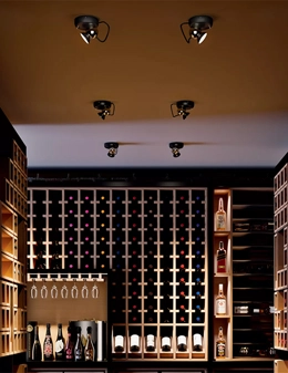 Duck plafoniera orientabile