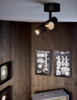 Goose proiettore da soffitto