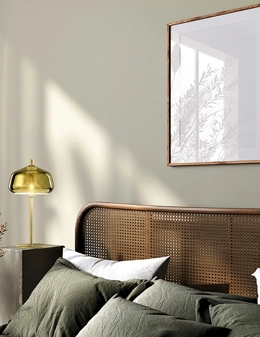 X-Ray lampada da tavolo in vetro 20 cm