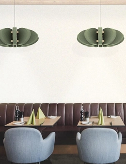 Zagara lampada acustica