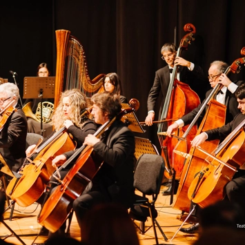 Progetti in Luce e Art Voice Academy: quando luce e musica s'incontrano