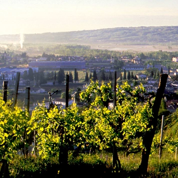 L’illuminazione scenografica degli esterni di Cantina Andreola